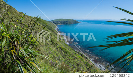 View of the Tasman Sea from the Paekakariki Escarpment Track in New Zealand View of the Tasman Sea from the Paekakariki Escarpment Track in New Zealand 129468242