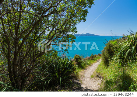Kapiti Island as seen from the Paekakariki Escarpment Track, New Zealand Kapiti Island as seen from the Paekakariki Escarpment Track, New Zealand 129468244