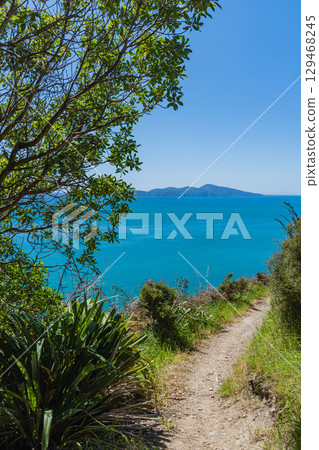 Kapiti Island as seen from the Paekakariki Escarpment Track, New Zealand Kapiti Island as seen from the Paekakariki Escarpment Track, New Zealand 129468245
