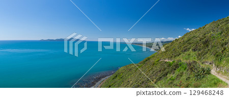 從紐西蘭帕卡卡里基懸崖步道俯瞰卡皮蒂島 從紐西蘭帕卡卡里基懸崖步道俯瞰卡皮蒂島 129468248