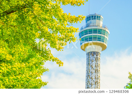 Yokohama Marine Tower and autumn leaves 129468306