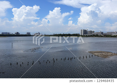 Yatsu tidal flat Yatsu tidal flat 129468435