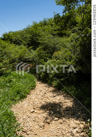 栃木縣那須山脈的登山步道風景 栃木縣那須山脈的登山步道風景 129468856