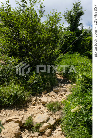 Scenery of the hiking trail in the Nasu Mountains, Tochigi Prefecture 129468857