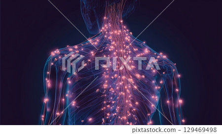 Illustration of glowing points depicting fibromyalgia symptoms and chronic pain across the human body 129469498