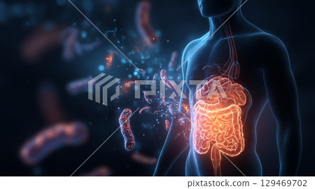 Human silhouette displays glowing brain and stomach connection surrounded by microscopic gut bacteria Human silhouette displays glowing brain and stomach connection surrounded by microscopic gut bacteria 129469702