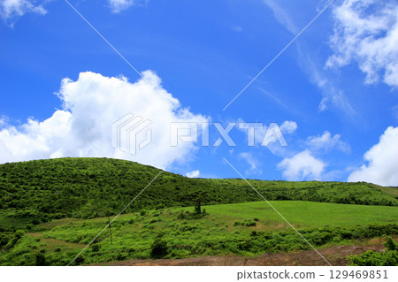 Summer landscape with grassland 129469851