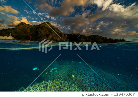 Coral branch sea at dusk, Ogasawara, Ice-making Coast 129470307