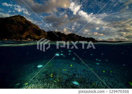 Coral branch sea at dusk, Ogasawara, Ice-making Coast 129470308