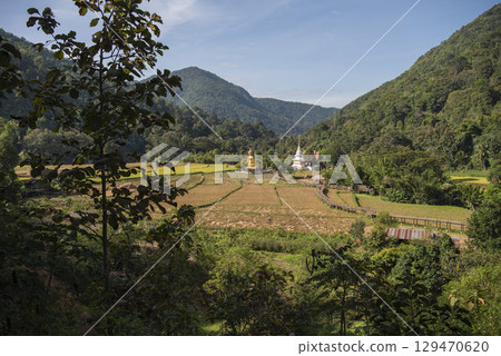 THAILAND PHRAE WAT NA KHU HA BUDDHA 129470620