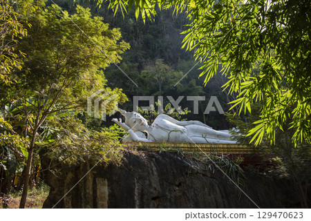 THAILAND PHRAE WAT NA KHU HA RICEFIELD 129470623