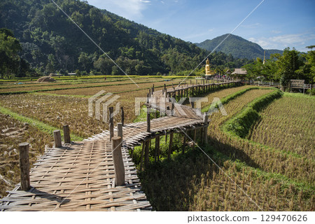 THAILAND PHRAE WAT NA KHU HA BUDDHA 129470626