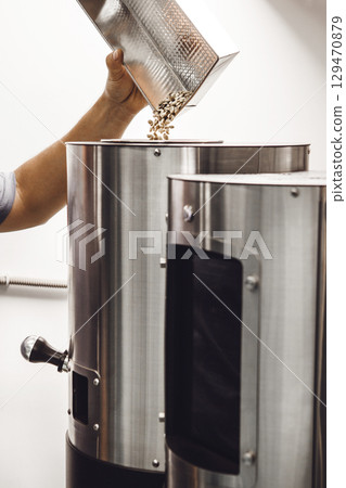 Freshly Picked Green Coffee Beans of Experimental Processing Being Poured Into Compact Size Roaster 129470879