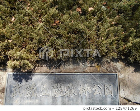 Forest Park No. 9 Forest Park No. 9 129471269