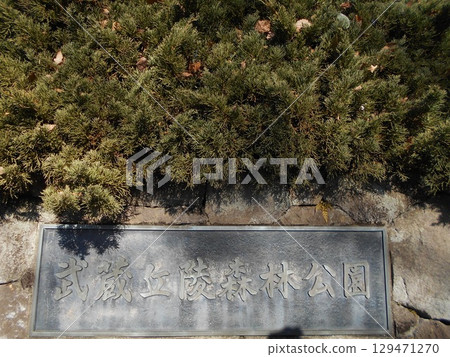 Forest Park No. 8 Forest Park No. 8 129471270