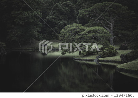 雨天的六義園，東京文京區 129471603