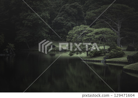 雨天的六義園，東京文京區 129471604