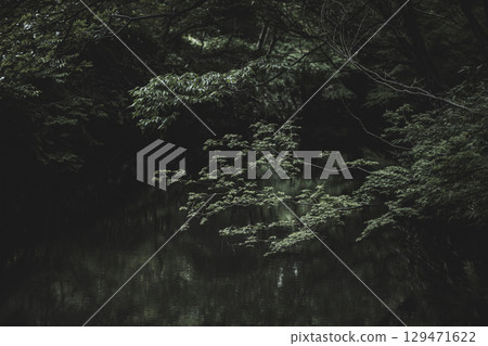 雨天的六義園,東京文京區 雨天的六義園,東京文京區 129471622