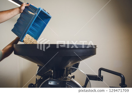 Filling Professional Coffee Roaster With Raw Coffee Beans in Roasting Facility, Close up 129471709