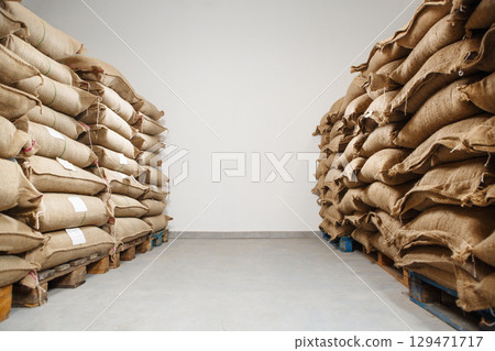 Jute Coffee Bags Filled With Fresh Coffee Beans Neatly Stacked in Warehouse Against White Wall With Ample Free Space 129471717
