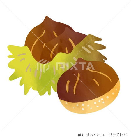 Autumn chestnut frame illustration background Autumn chestnut frame illustration background 129471881