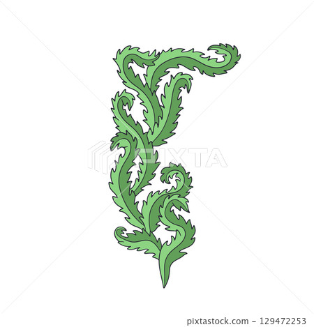 Elegant curvy green seaweed hand drawn vector illustration. Vintage line art marine botany design Elegant curvy green seaweed hand drawn vector illustration. Vintage line art marine botany design 129472253