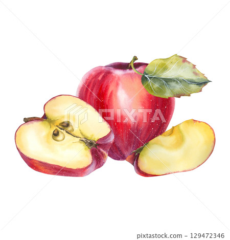 Watercolor illustration of red apples with slices and a green leaf in realistic style. for food packaging, juice branding organic product labels, cookbooks kitchen decor and seasonal promotions. 129472346