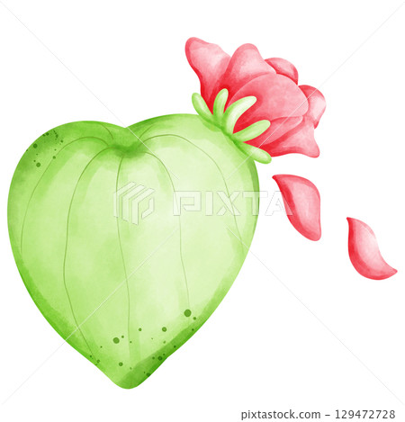 Cactus with flowers 129472728