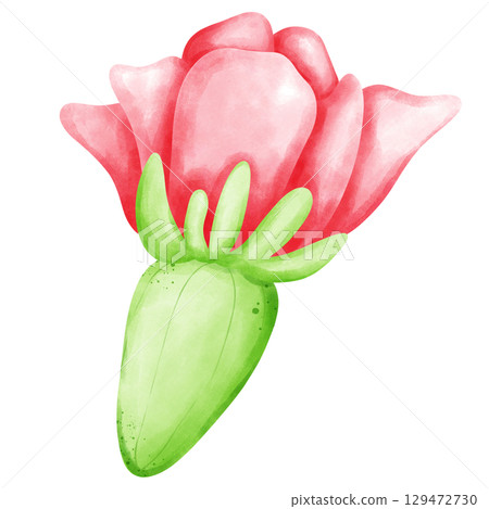 Cactus with flowers 129472730