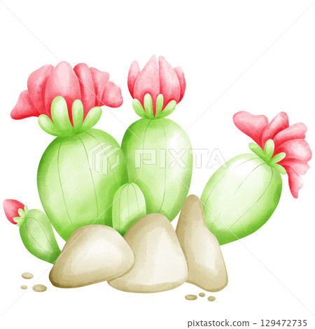 Cactus with flowers 129472735