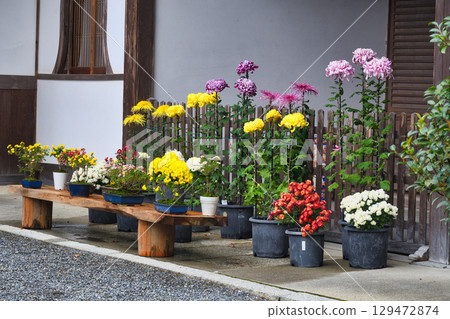 Beautiful scenery of Sanzen-in Temple in Ohara (Sakyo Ward, Kyoto City, Kyoto Prefecture) Beautiful scenery of Sanzen-in Temple in Ohara (Sakyo Ward, Kyoto City, Kyoto Prefecture) 129472874