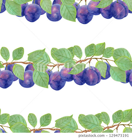 Branch of purple plum with leaves and whole fruits. Seamless pattern. Watercolor illustration. Fruit background for menu design, textile, fabric. Harvesting, production. Hand drawn isolated art. 129473191