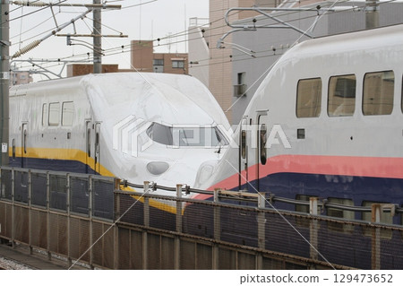 E4 Series Shinkansen Max: New and old livery combined 129473652
