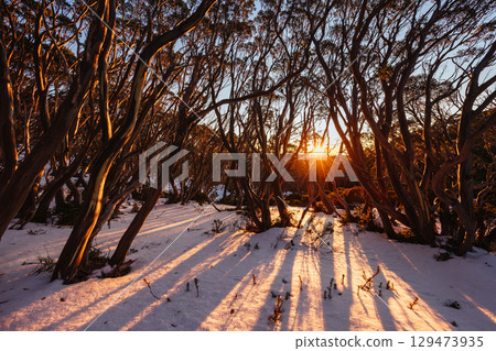 Mt St Gwinear Sunrise in Australia Mt St Gwinear Sunrise in Australia 129473935