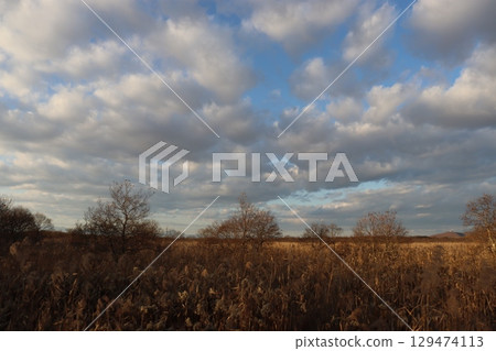 hiro路沼澤國家公園 hiro路沼澤國家公園 129474113