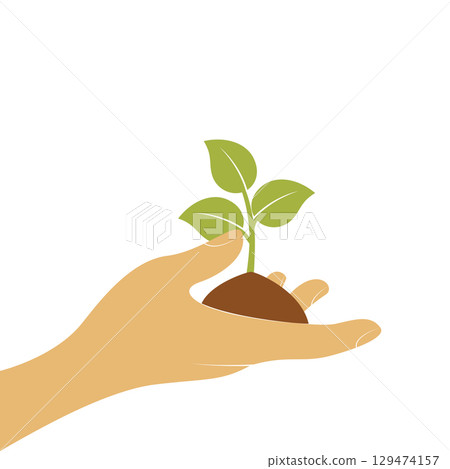 hand holding green plant hand holding green plant 129474157