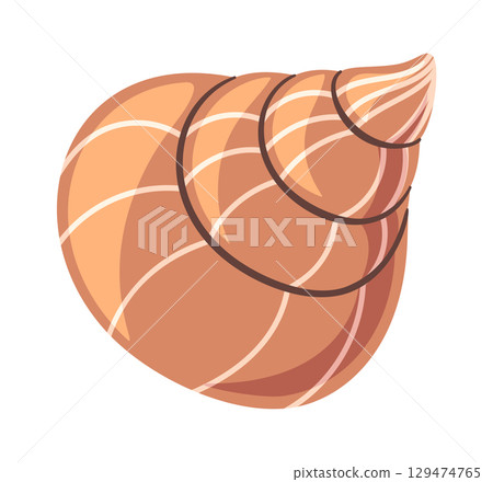 Aquatic shell ocean inspired pattern 129474765