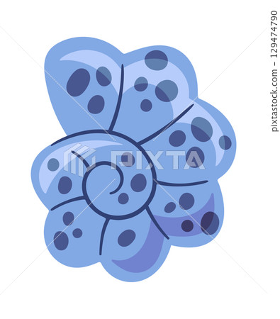 Oceanic shell spiral conches element 129474790