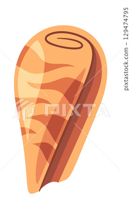 Spotted mussels nautical sea shell 129474795