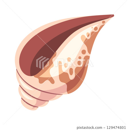 Tropical sea shell decorative design 129474801