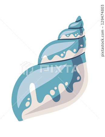 Spiral seashell exotic marine mollusk 129474803