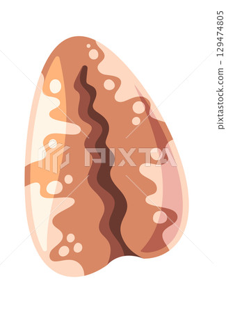 Cowrie seashell aquatic decorative pattern 129474805