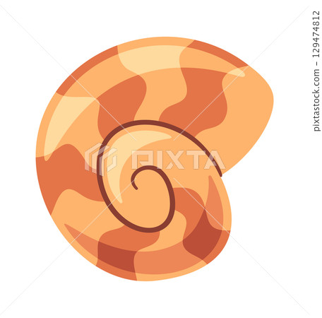 Nautical oceanic spiral nautilus shell Nautical oceanic spiral nautilus shell 129474812