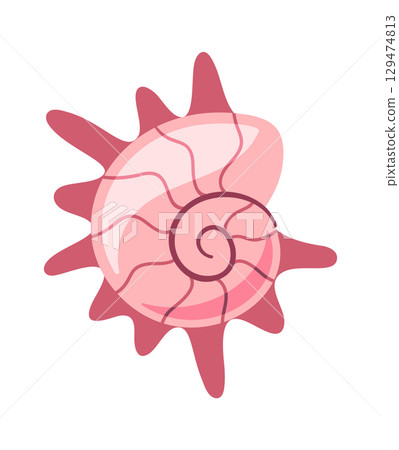 Prickly spiral sea shell element Prickly spiral sea shell element 129474813