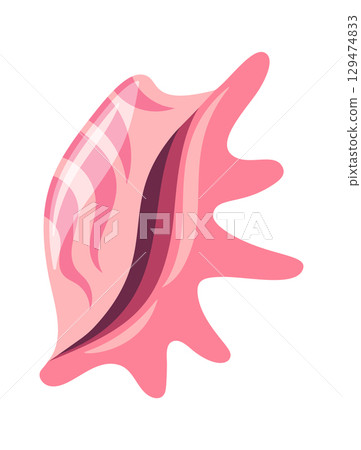 Tropical beach sea shell mollusk 129474833