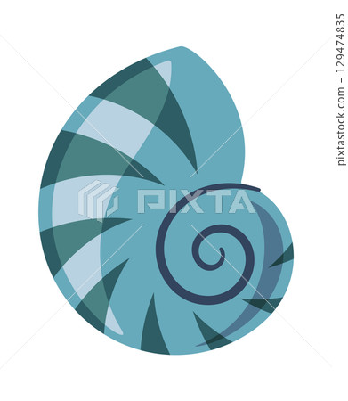 Decorative seashells ocean beach element Decorative seashells ocean beach element 129474835
