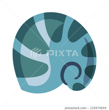 Nautilus sea shell exotic element Nautilus sea shell exotic element 129474844