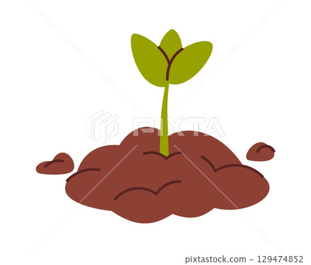 Growing plant seedling from compost 129474852
