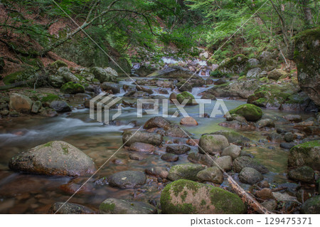 A long exposure captures the mountain stream of Hontani River in Yamanashi. The mysterious flow of the deep forest. A long exposure captures the mountain stream of Hontani River in Yamanashi. The mysterious flow of the deep forest. 129475371