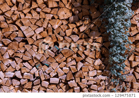 Firewood Texture Close-up Firewood Texture Close-up 129475871